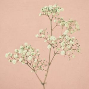 Meet your Posher, Briana